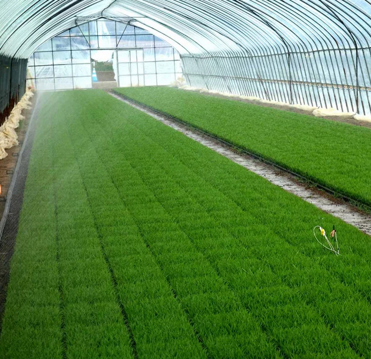 Bewässerungsschlauch Sumisansui R Greenhouse (Abdeckung 5 m einseitig)