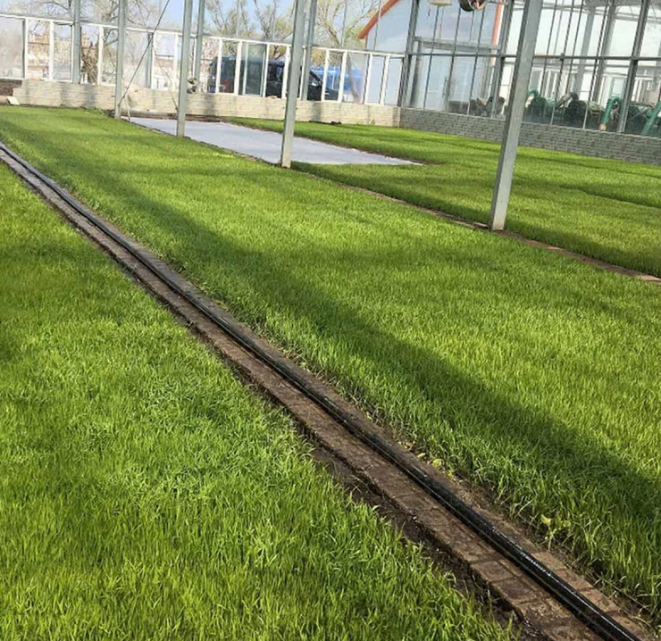 Bewässerungsschlauch Sumisansui R Greenhouse (Abdeckung 5 m einseitig)